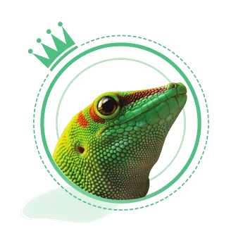 Herpeton Forum